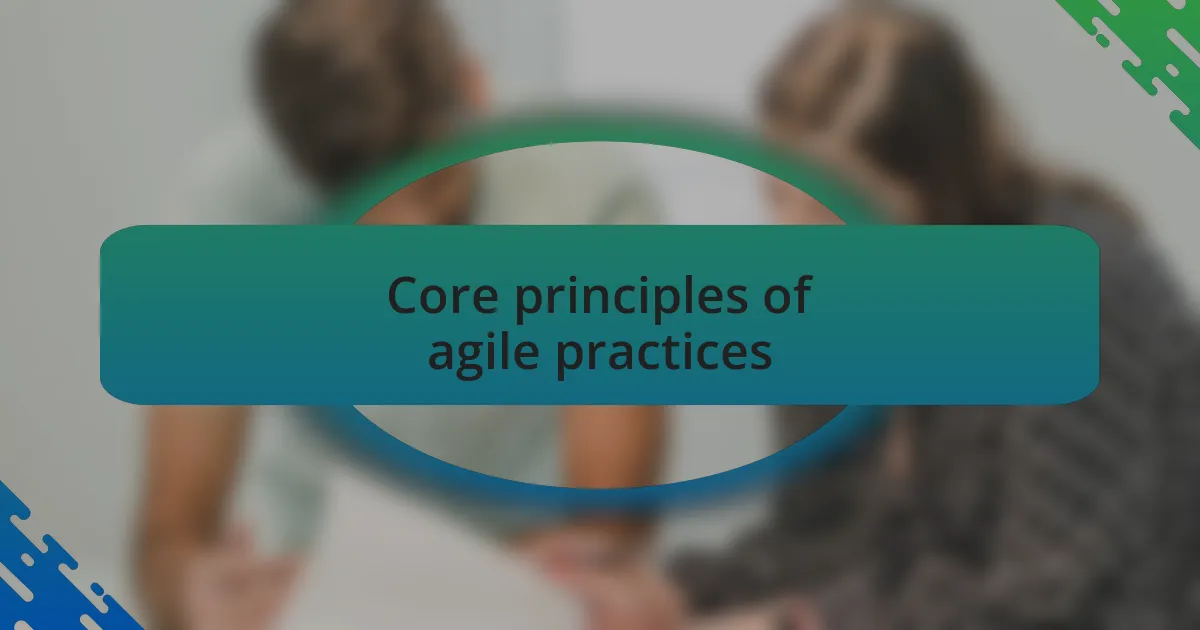 Core principles of agile practices