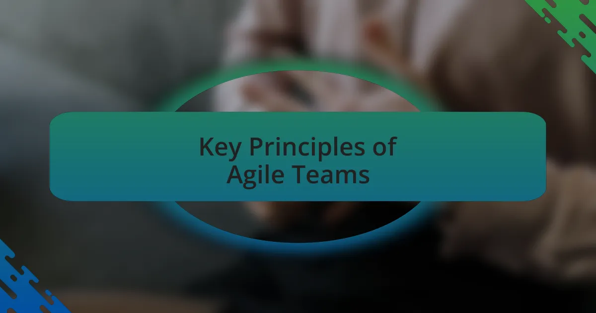 Key Principles of Agile Teams