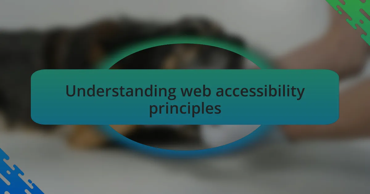 Understanding web accessibility principles
